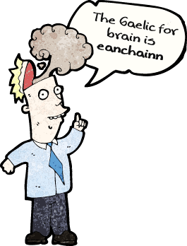 Image: The Gaelic for brain is eanchainn