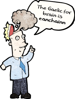 Image: The Gaelic for brain is eanchainn