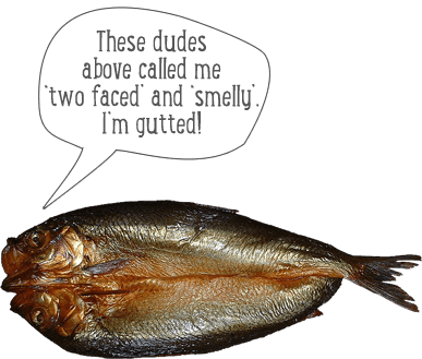 Picture of a Kipper